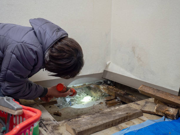Best Air Quality Testing for Mold Spores  in Prosser, WA